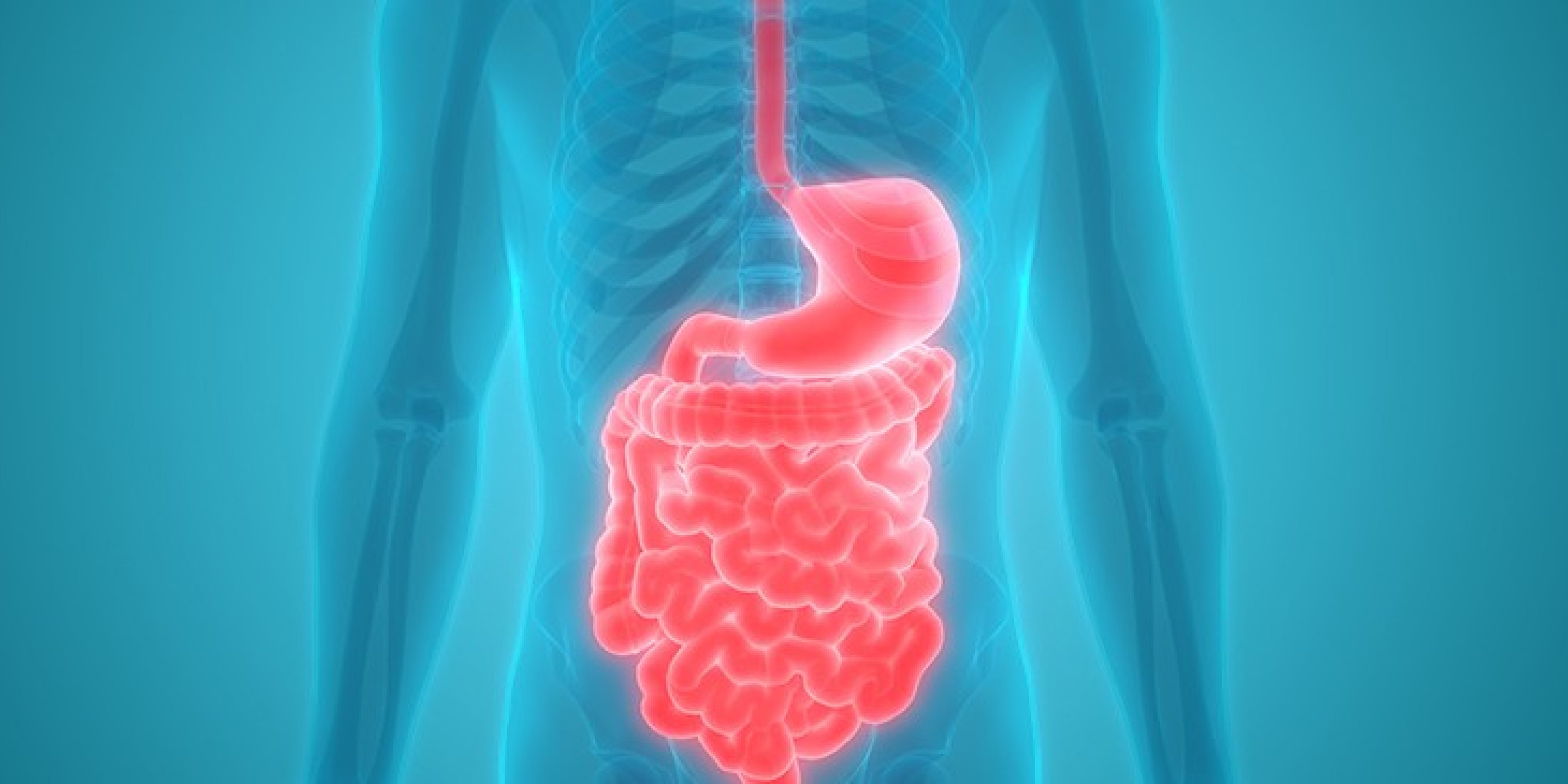 Amylase: What Is This Essential Digestive Enzyme?