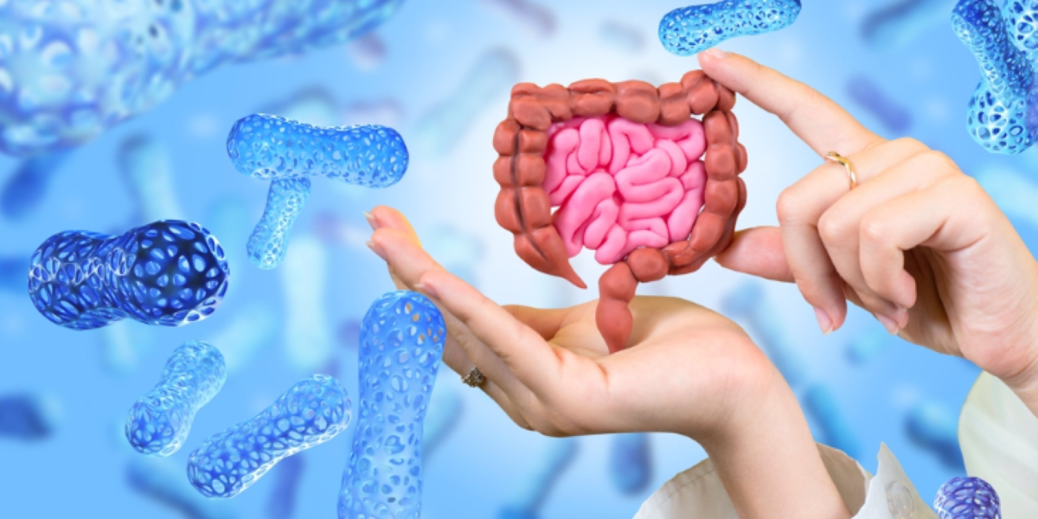 How Does Lactobacillus in Protein Powder Support Gut Health?