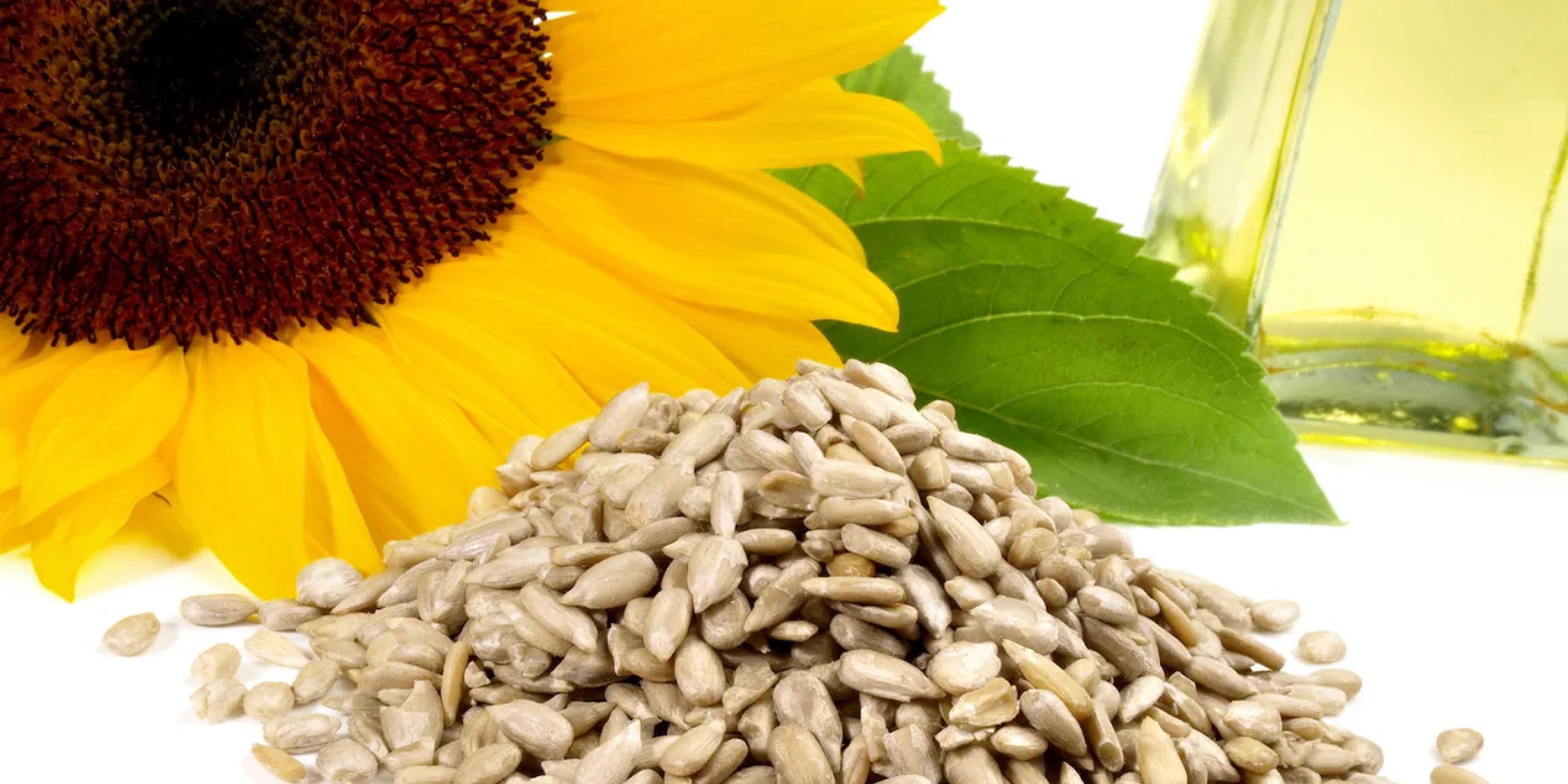 Top Benefits of Sunflower Lecithin
