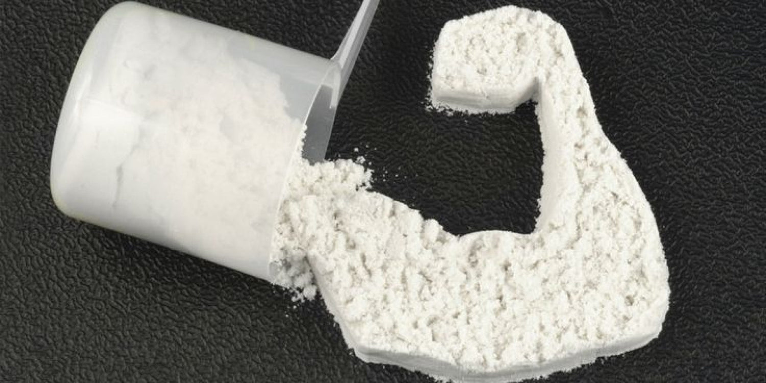 Fitness for badminton players the perfect diet plan - Explosive Whey