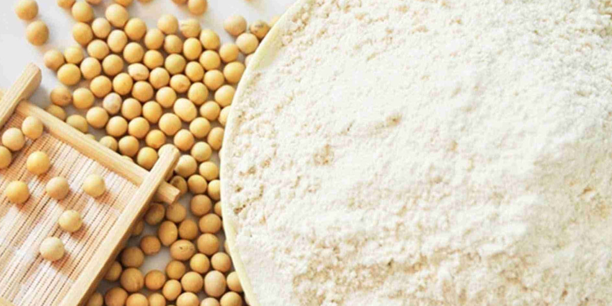Pros and Cons of Soybean Protein