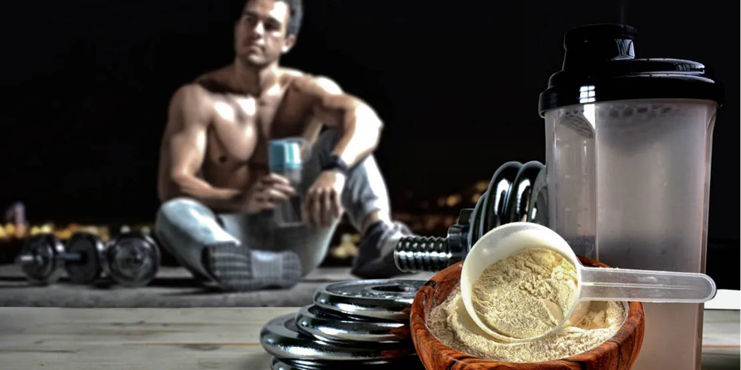 Top 10 best recovery supplements for athletes - Explosive Whey
