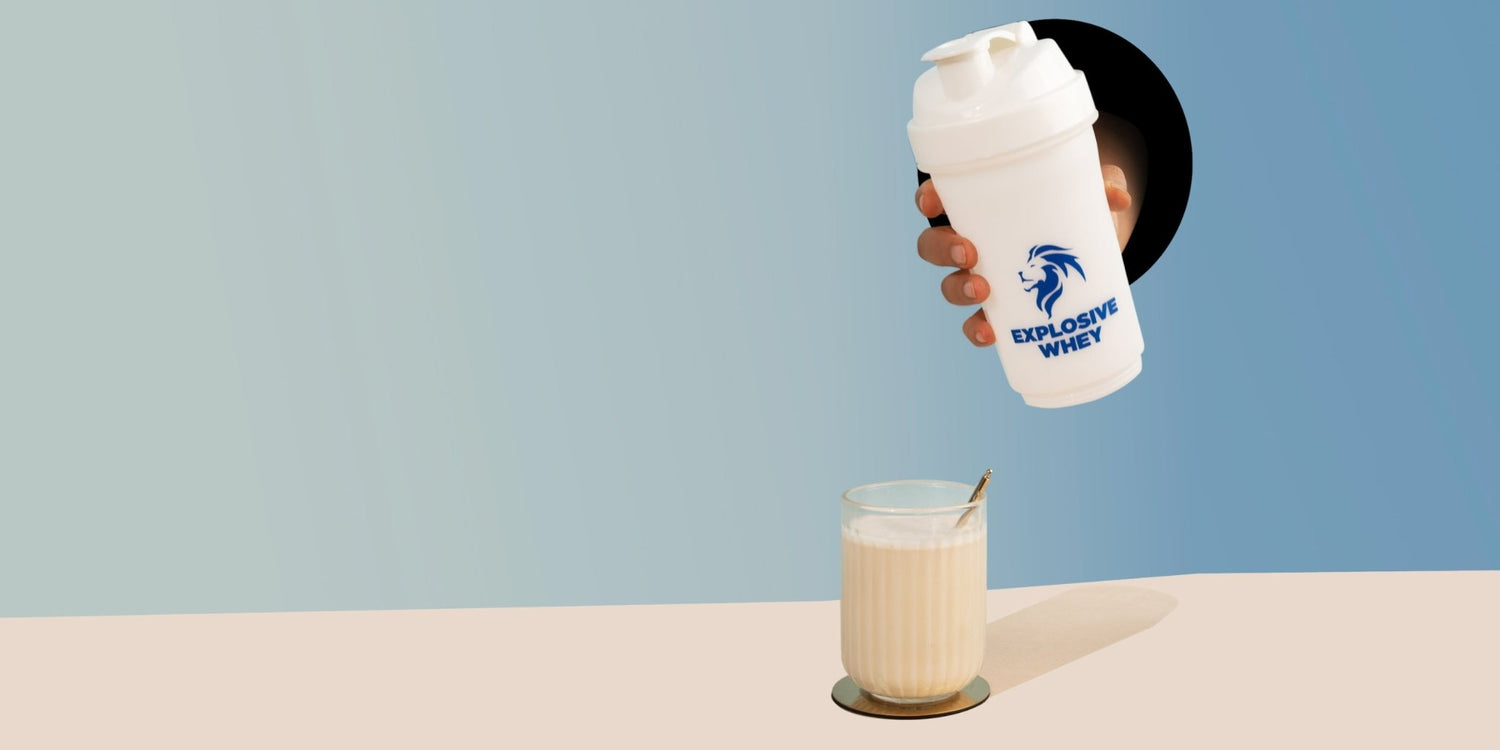 Whey Protein and Probiotics: How This Combo Improves Gut Health - Explosive Whey
