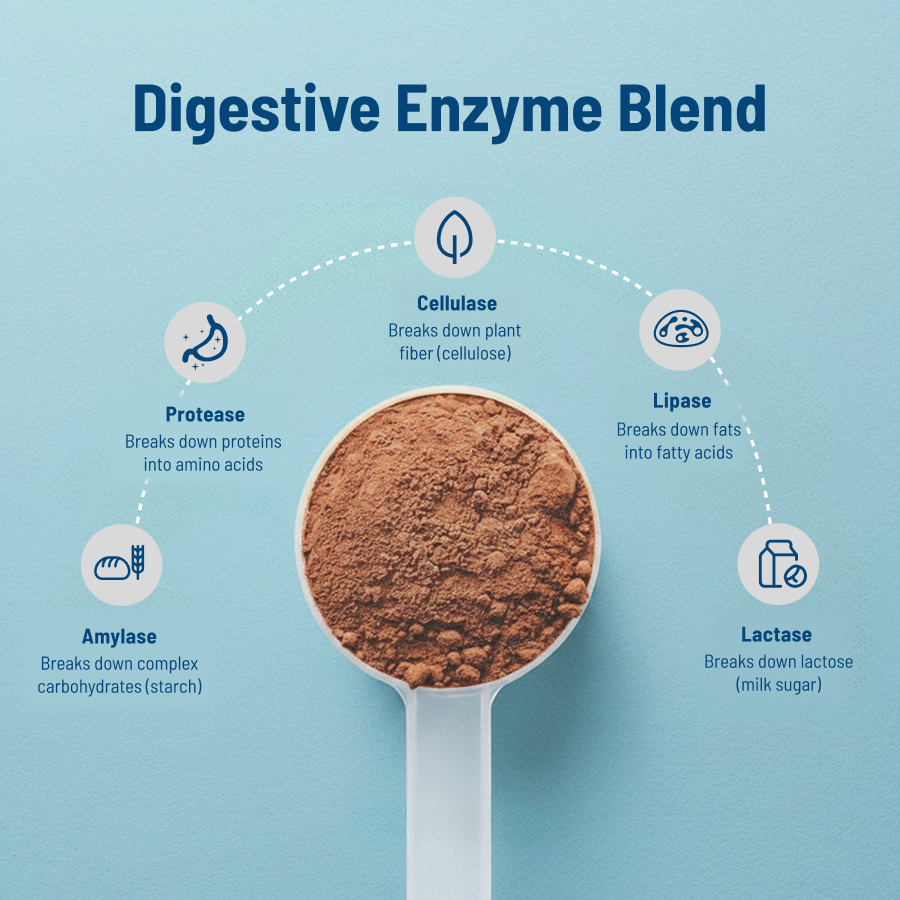 Elite Series Whey Protein
